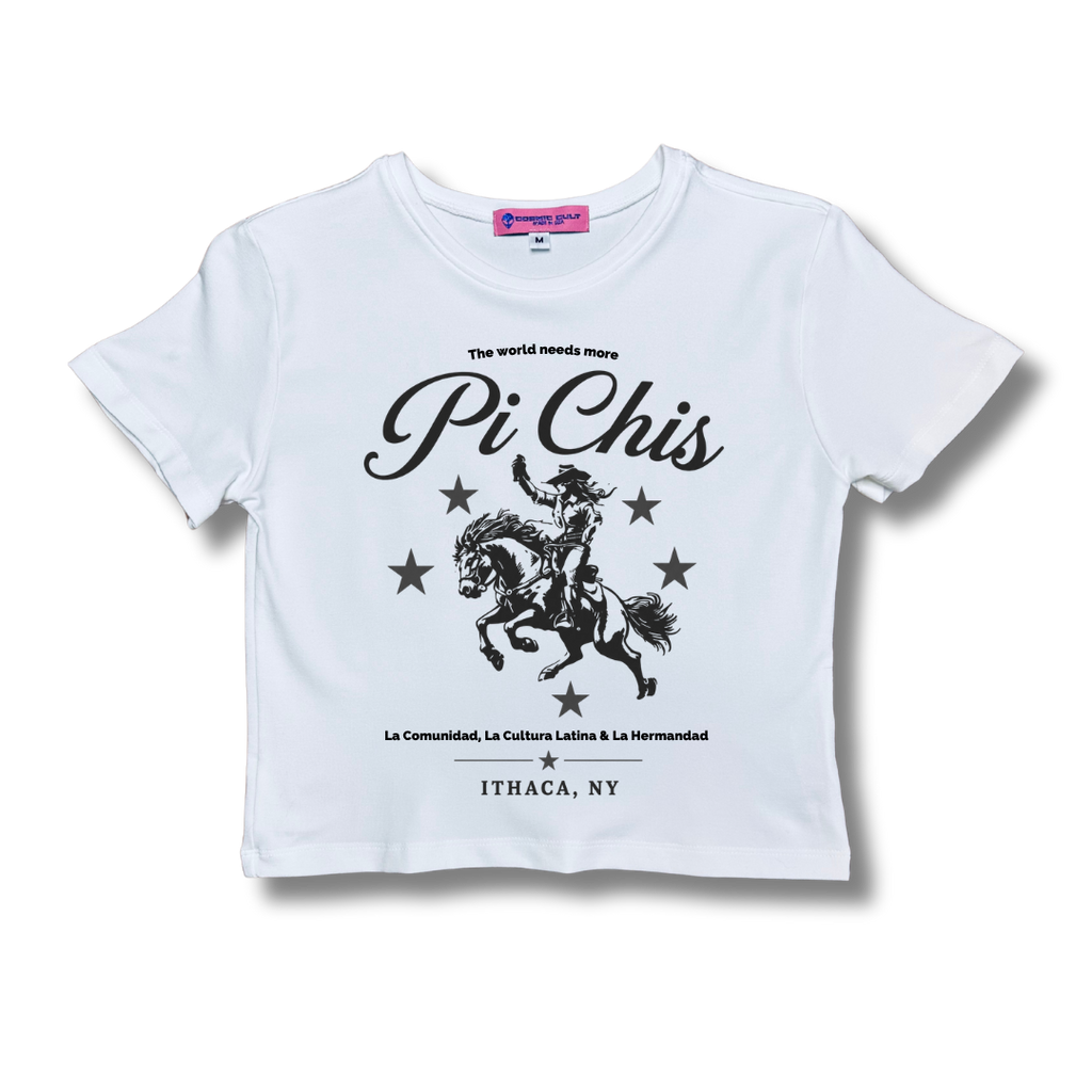 The World Needs More Pi Chis Cropped Baby Tee