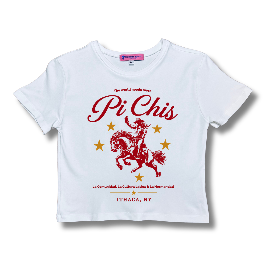 The World Needs More Pi Chis Cropped Baby Tee